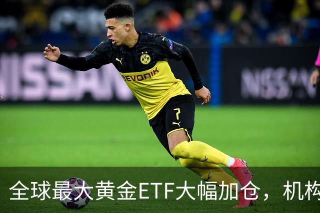 全球最大黄金ETF大幅加仓，机构：黄金牛市还在